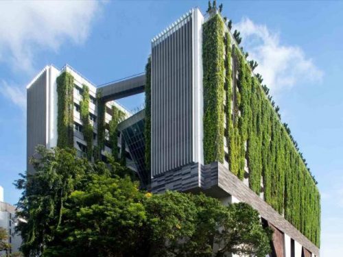 مفهوم معماری پایدار (سبز) به چه معناست؟ | شرکت تهران دیزاین سنتر